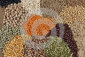 Big collection of different cereals and edible seeds
