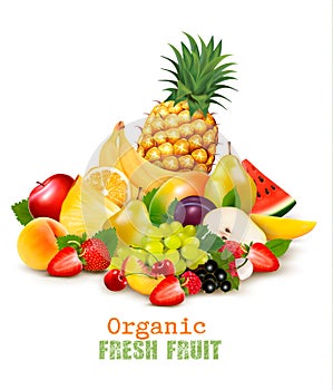 Big collection of different organic fresh fruit.