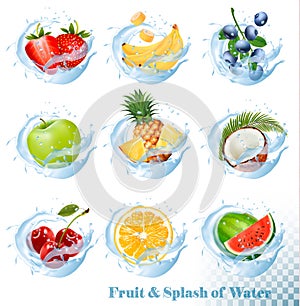 Big collection of fruit in a water splash icons