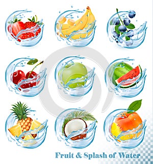 Big collection of fruit in a water splash