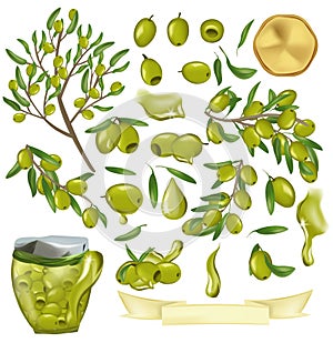 Big Collection with Green olives, Glass jar with olives, branches with olives and leaves, drops oil, tree olive. Vector