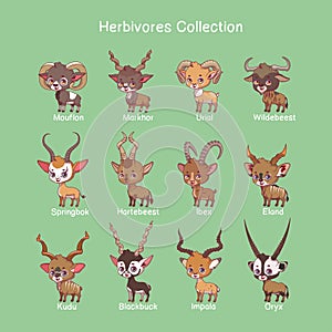 Big collection of herbivore animals with name text