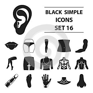 Big collection part of body vector symbol stock illustration