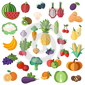 Big collection of premium quality fruits and vegetables in a flat style