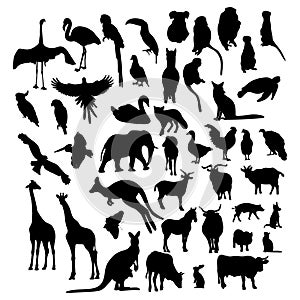 Big collection silhouettes animals and birds. Vector illustration. Isolated hand drawings on white background for design