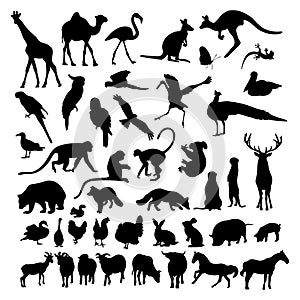 Big collection silhouettes animals and birds. Vector illustration. Isolated hand drawings on white background for design