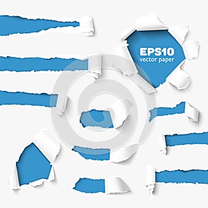 Big collection of torn paper