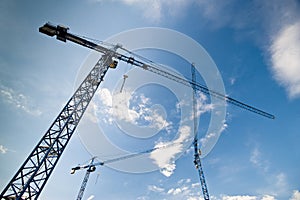 Big construction cranes photo