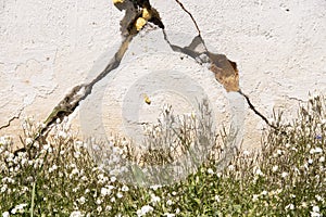 a big crack in an old concrete wall