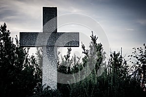 Big cross