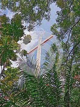 Big cross covered by tress and palms
