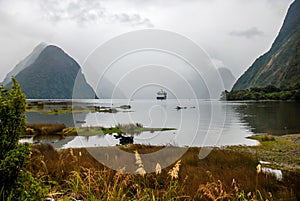 Big cruise ship at Milford Sound