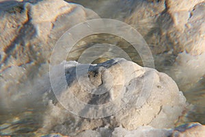 The big crystal of salt of Dead Sea
