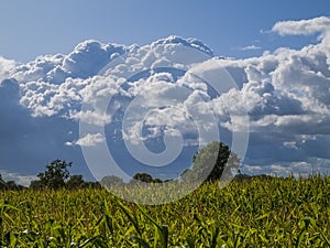 Big cumuli nimbus