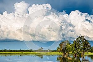 Cumulonimbus Clouds Over Flood Field photo