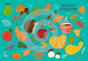 Big cute autumn set of fruits, berries, vegetables, mushrooms, a crop of hazelnuts, leaves, plants, pumpkins, pomegranates, acorns