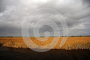 Big Cypress Landscape