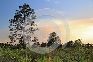 Big Cypress National Preserve