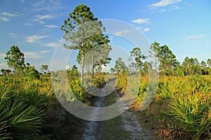 Big Cypress National Preserve