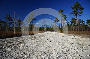 Big Cypress National Preserve