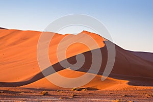 Big Daddy dune, Namib Desert, Sossusvlei at sunrise