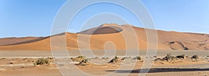Big Daddy dune in Naukluft desert, near Sossusvlei, Namibia