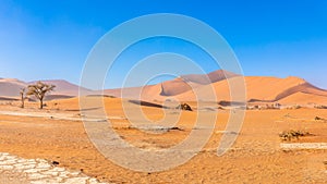 Big Daddy Dune, Sossusvlei, Namib-Naukluft National Park, Namibia.