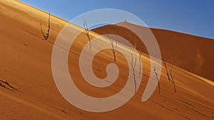 Big Daddy, Namib Desert, Afric