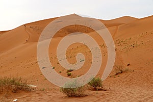 Big Daddy sand dune Sossusvlei - Namibia Africa