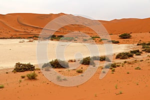 Big Daddy sand dune Sossusvlei - Namibia Africa