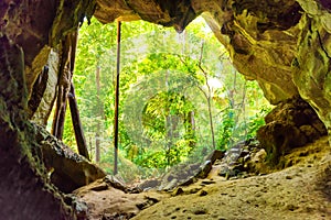 Big dark cave and sun light