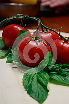 Big dark red tomatoes on a green vine on a light wooden table