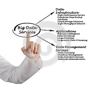 Big Data Services