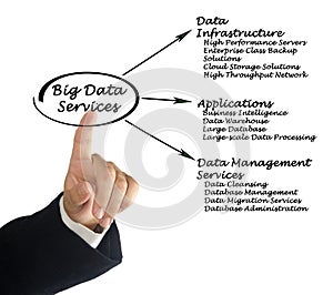 Big Data Services