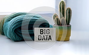 Big Data text on sticky with cactus on the white background