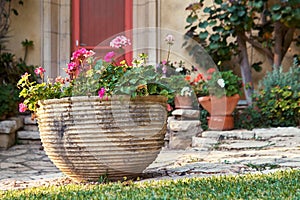Big decorative clay flower pot in front of house with red flowers