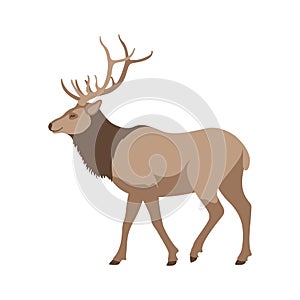 Big deer vector illustration flat style profile