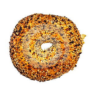 Big Delicious New York Everything Bagel! Bagel Shop or Delicatessen (On white)