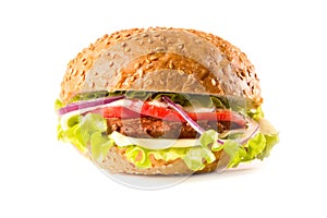 Big delicious tasty hamburger on white background