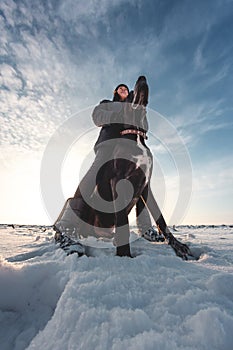 A big dog with a mistress on a snowy field. Great Dane in the snow