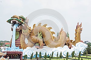 Big dragon at Dragon descendants museum, Thailand