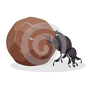 Big dung beetle that pushes big dirty ball