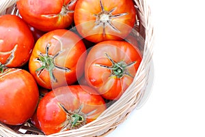 Big ecological tomatoes in a basket