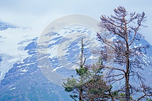 Big Elbrus mountain in summe on cloudy day