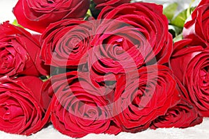 Big elegant red roses bouquet