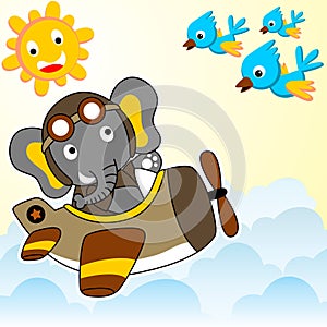 Big elephant in military plane