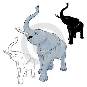 Big Elephant - vector image