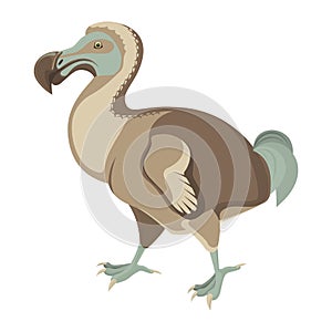 Big exotic dodo bird with short wings and fluffy tail