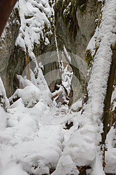 Big Falcon ravine in Slovak Paradise National park in winter, Slovakia