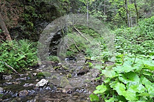 Big Falcon ravine, Slovak Paradise, Slovakia